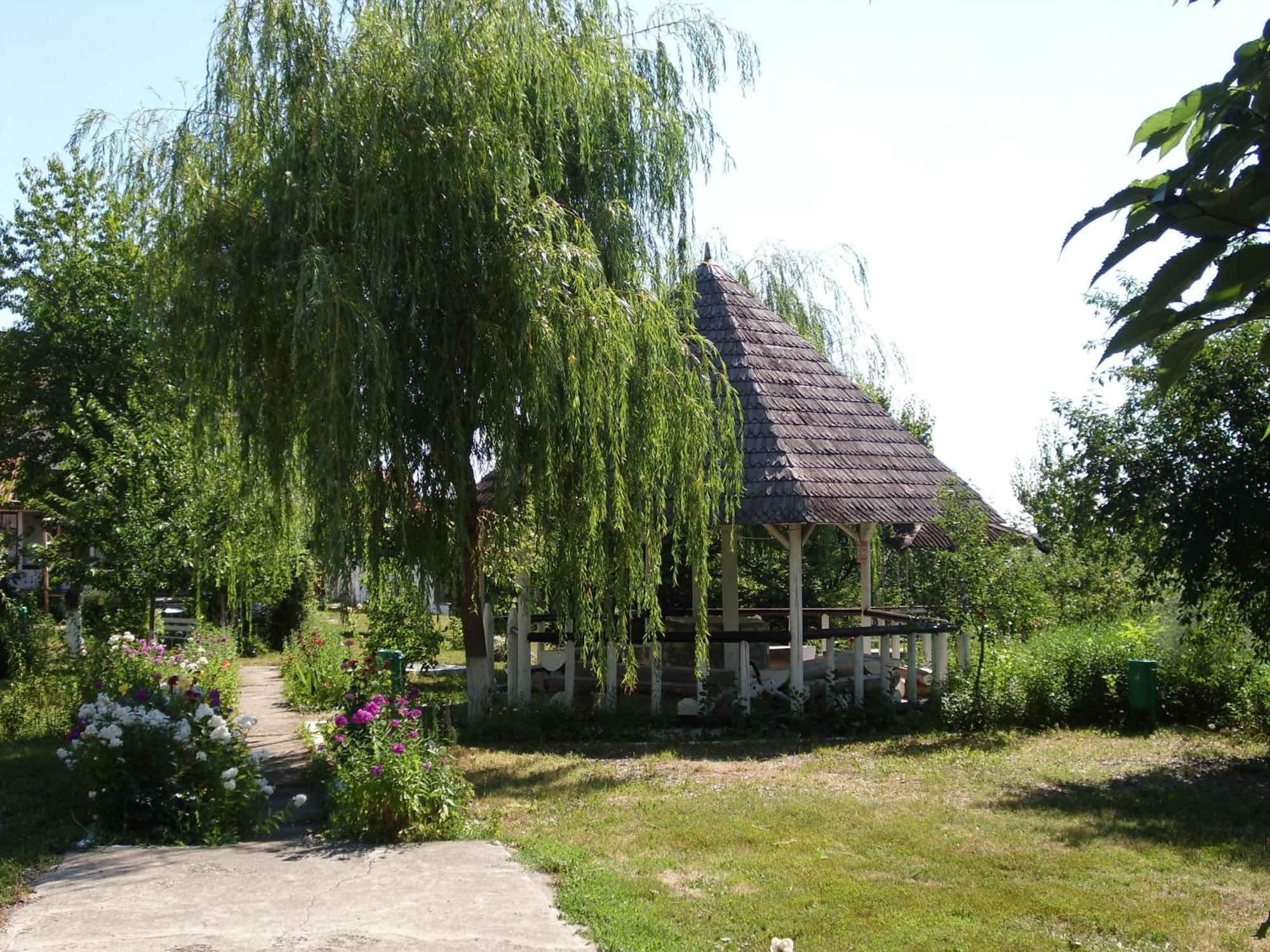 Padurea De Argint Villa Văratec Eksteriør billede